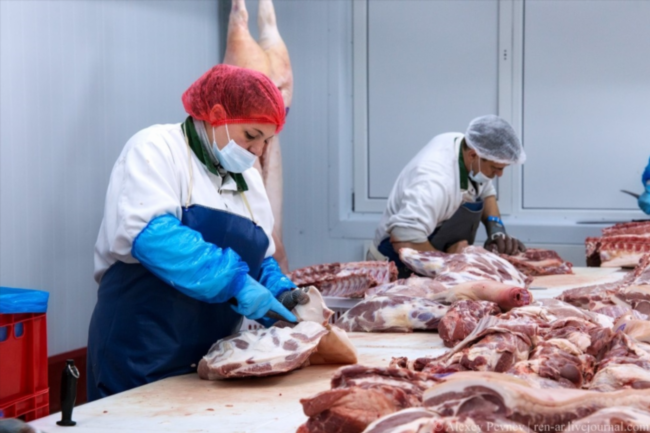 Обвальщик мяса работа в Калининграде
